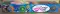 240 Shots Multicolour